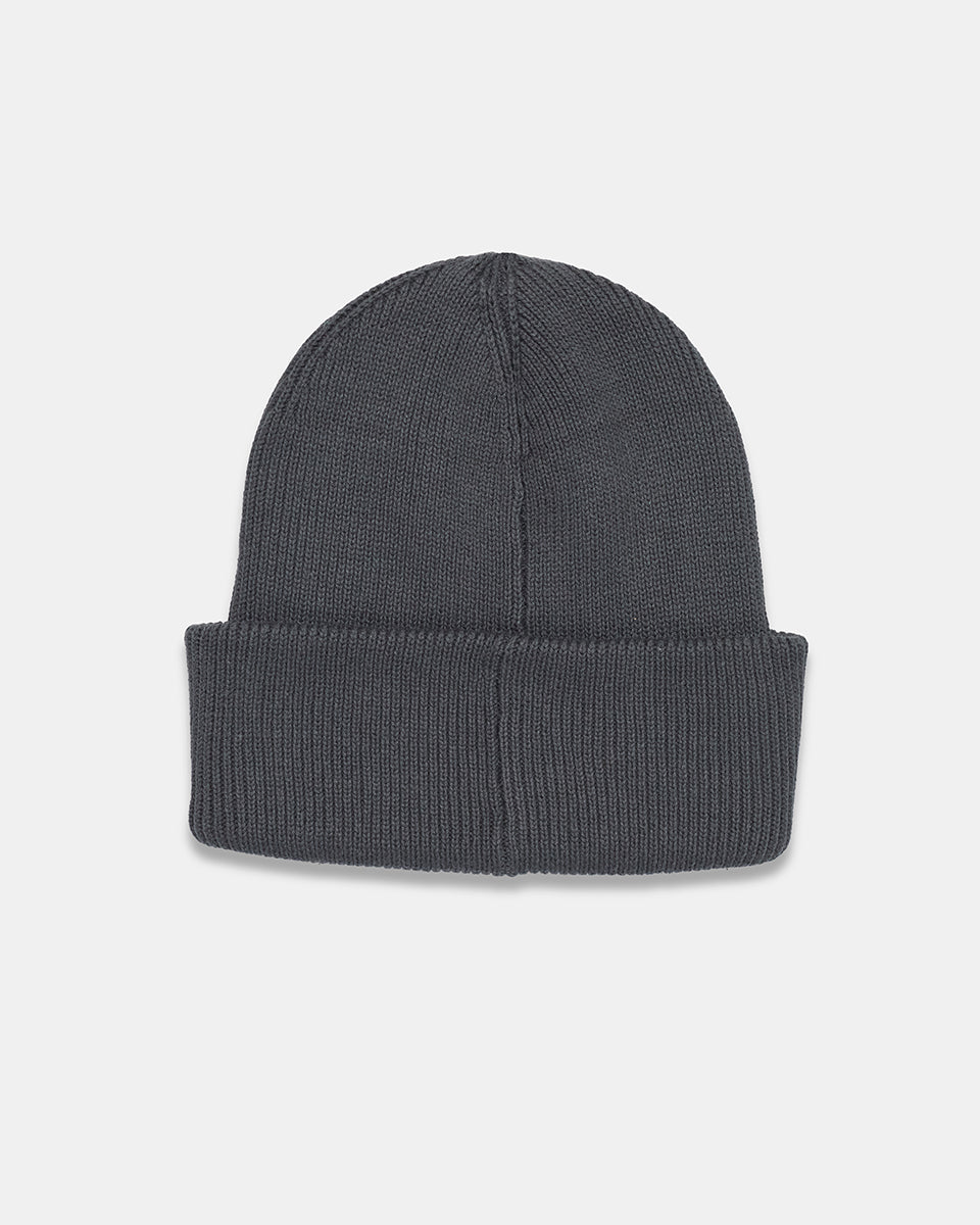 Alden Beanie